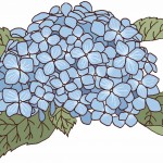 保護中: 青い花